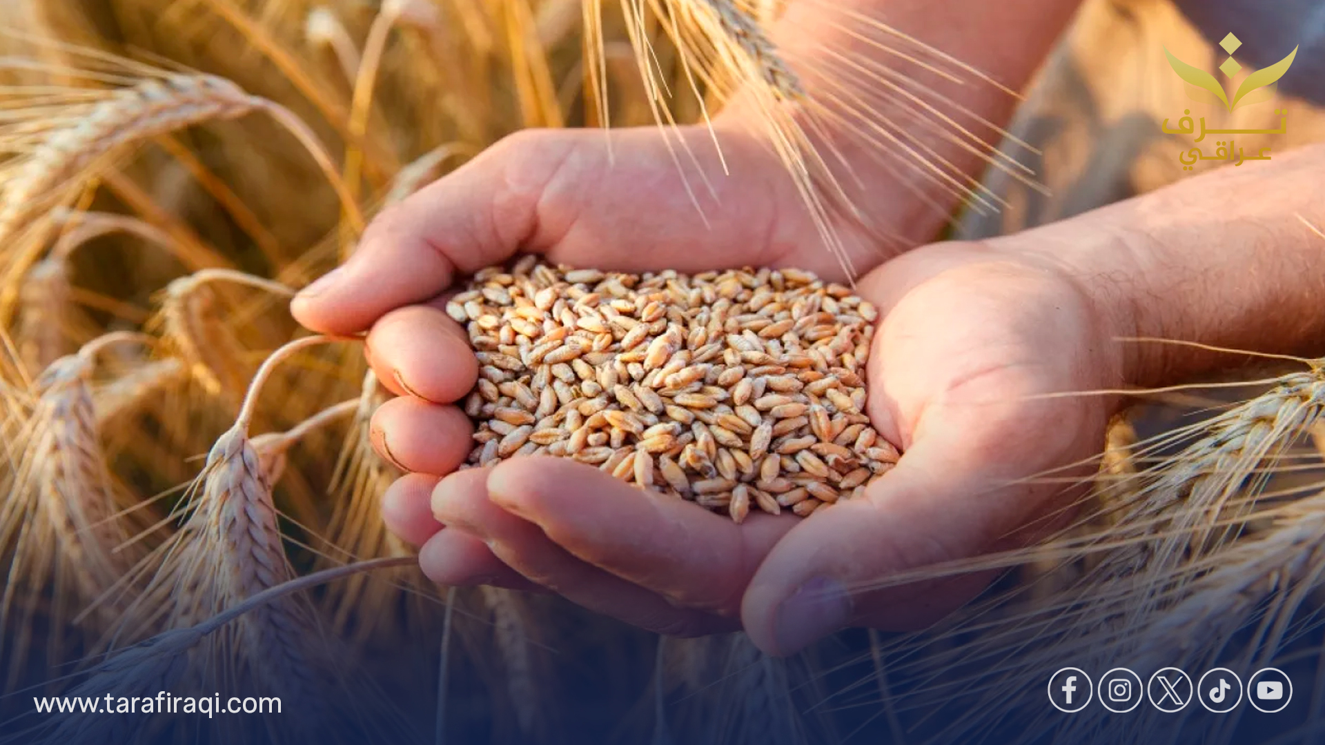 الزراعة: خطوات تنفيذية مشتركة لتعزيز الأمن الغذائي في العراق