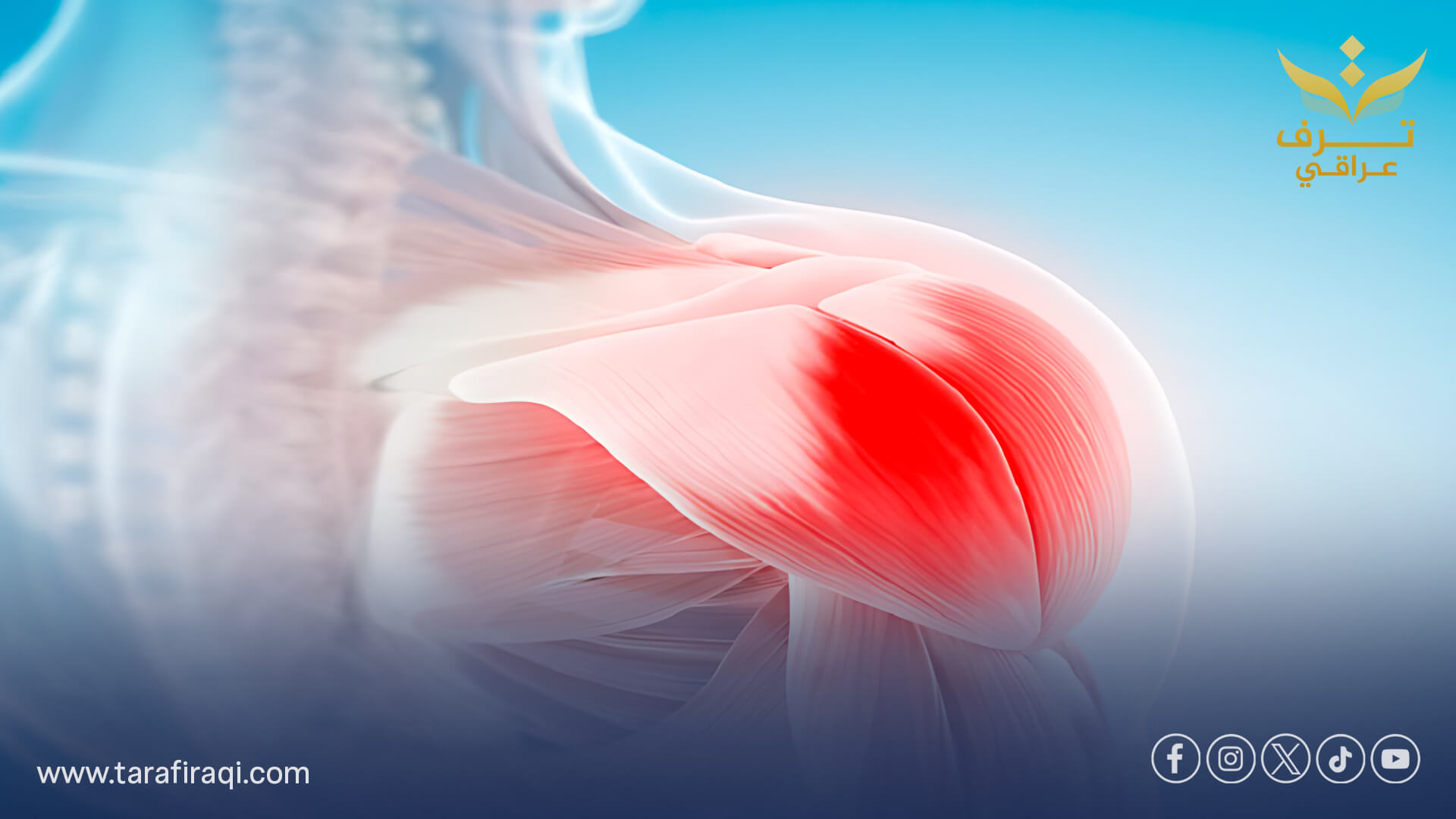 دراسة تكشف السبب الحقيقي لآلام العضلات الناتجة عن أدوية خفض الكوليسترول وتقترح حلولًا جديدة